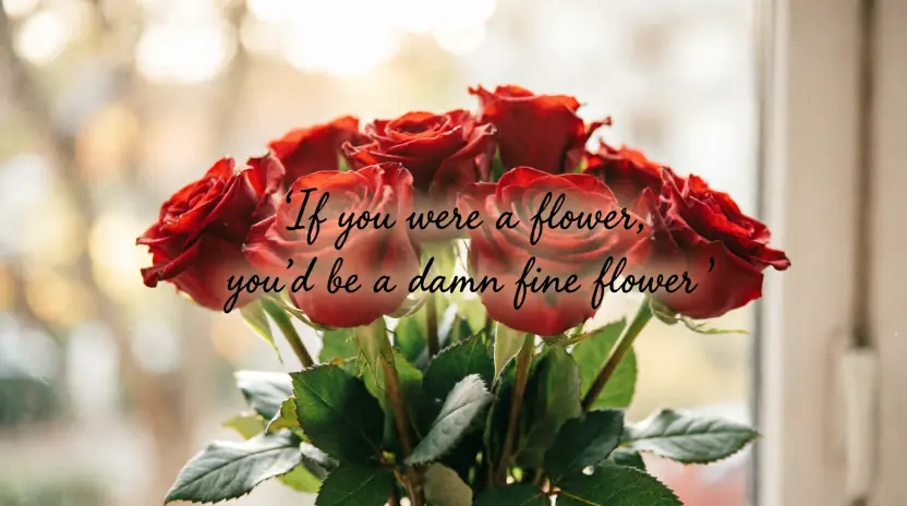 Cute Gift Pickup Lines